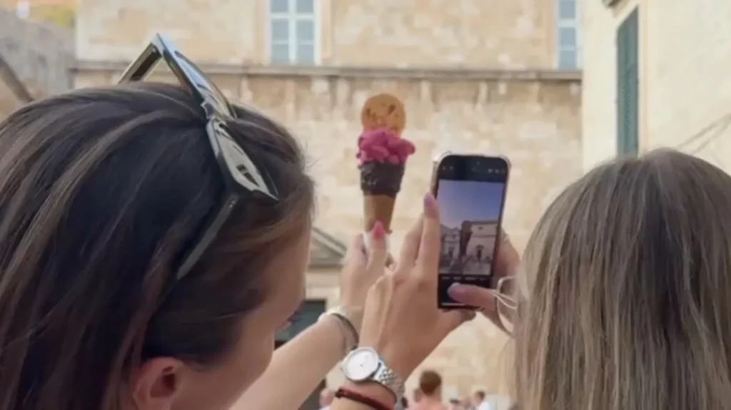 vođenje društvenih mreža